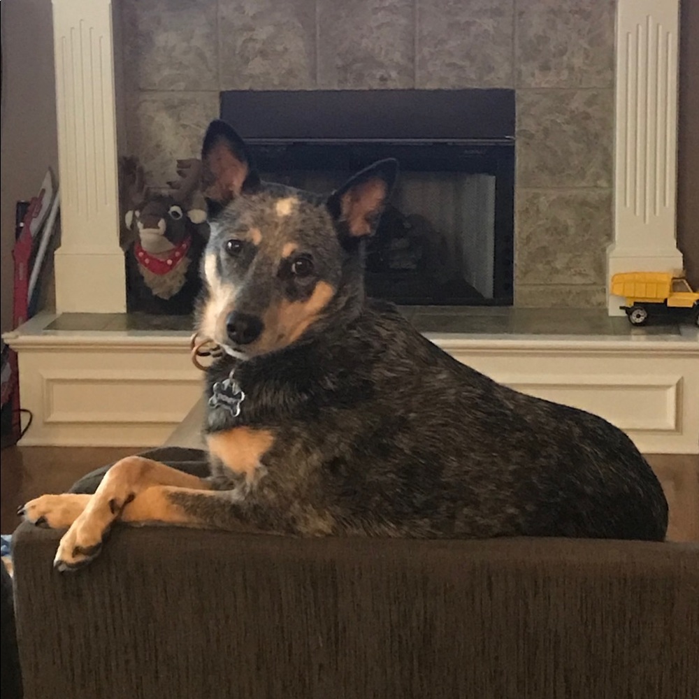 Meet your Posher, Kelli